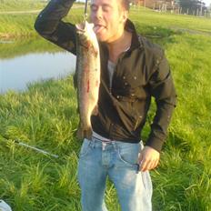 Mand Nicolai