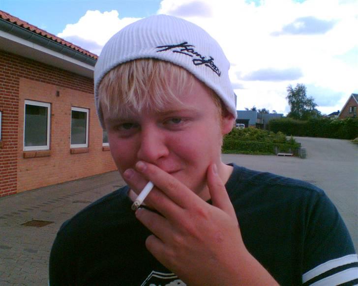 Mand Stoffer - 1år gammel på vej til Vandel ! :b  billede 12