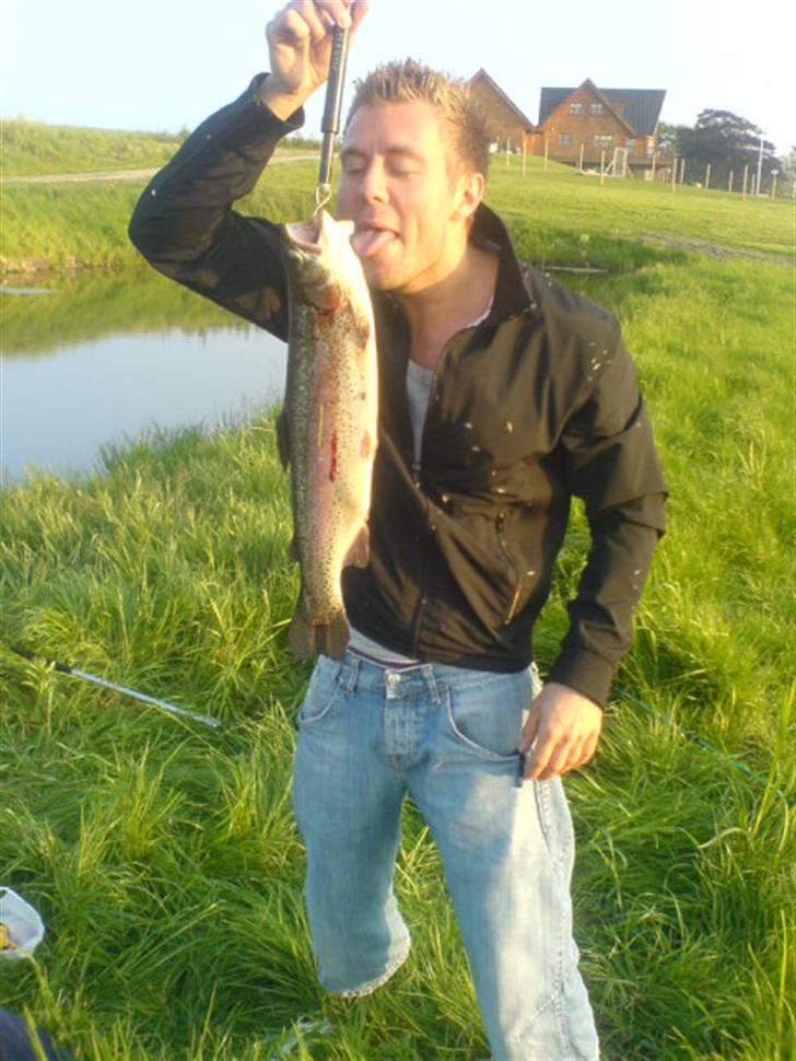 Mand Nicolai billede 3