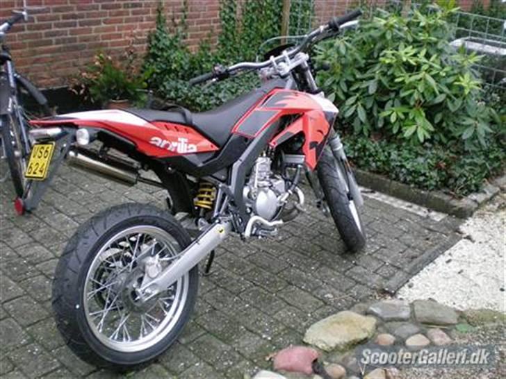 Mand Thomas  - Italien 06 :D billede 1