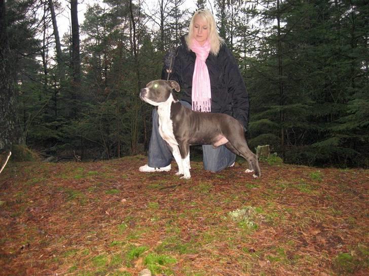 Kvinde ja oprettes skal man ;-D - Med lånt hund, kennel pentagons Blue Bill 2007 billede 12