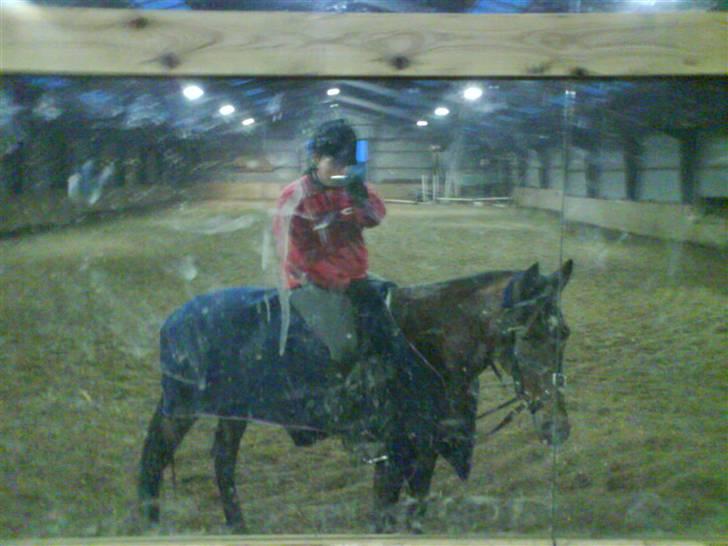 Kvinde Suzy  - Min hest og mig i spejlet ;) billede 18