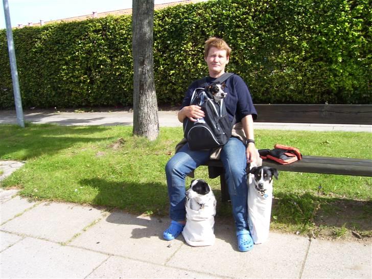 Kvinde Jytte Holger  - sommer og kort hår passer sammen billede 4