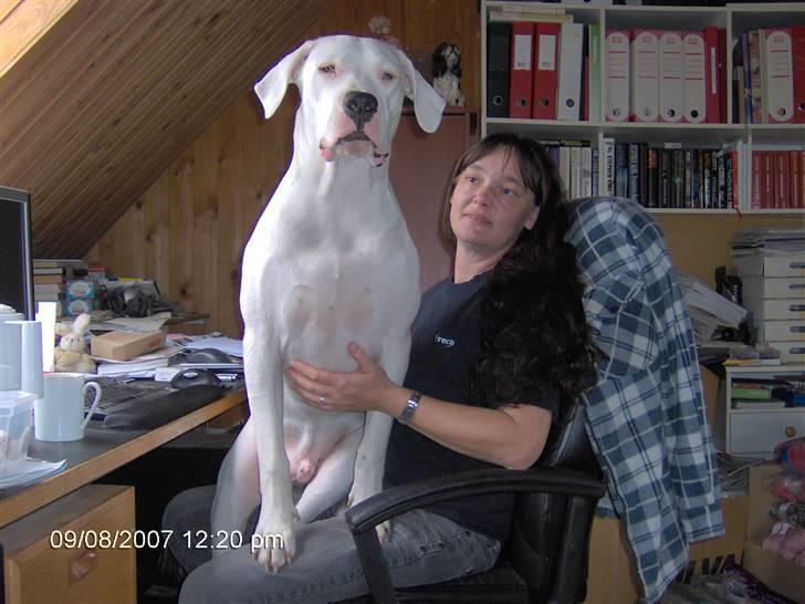 Kvinde Linda T billede 6