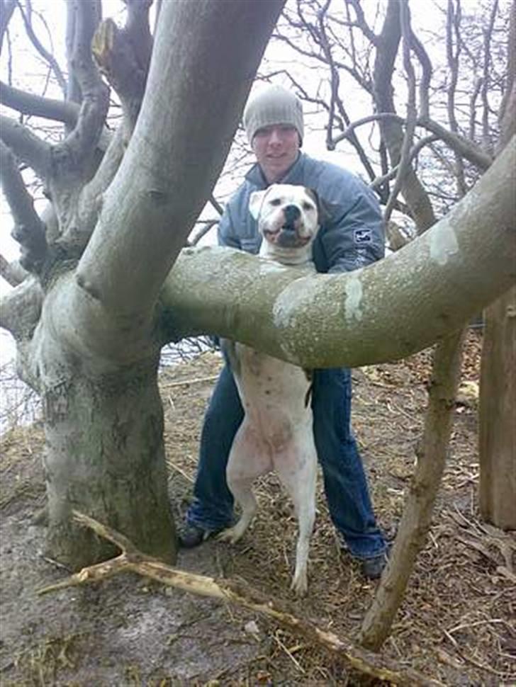 Mand KizzMeAzz billede 11