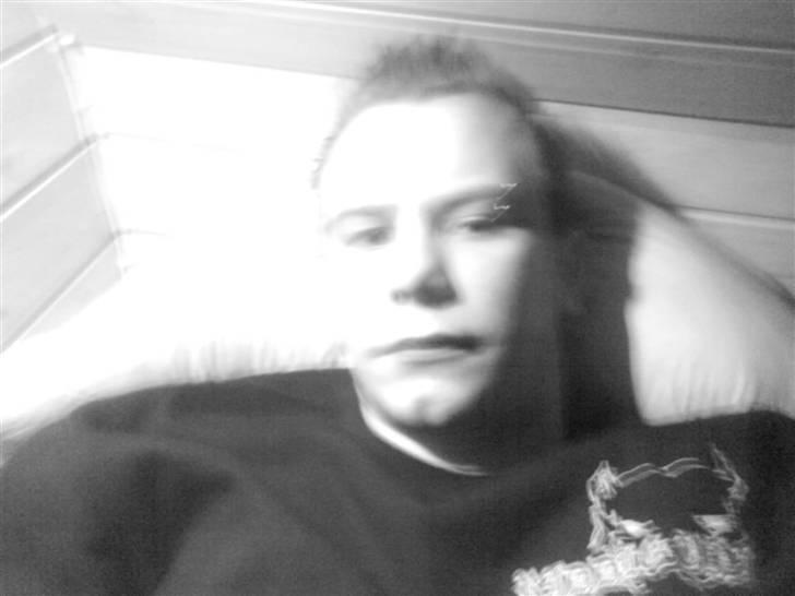 Mand Steen .- billede 3