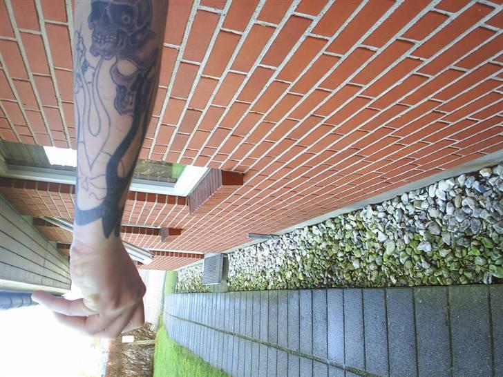 Mand Lillebror billede 7