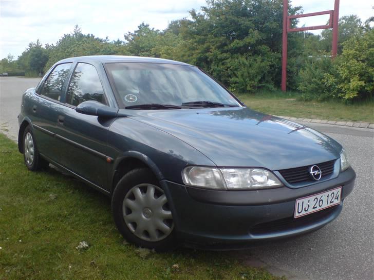 Mand Nikolai - Min fine VB´er med 100 hypper:D billede 5