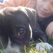 Kvinde Mig og lidt dertil