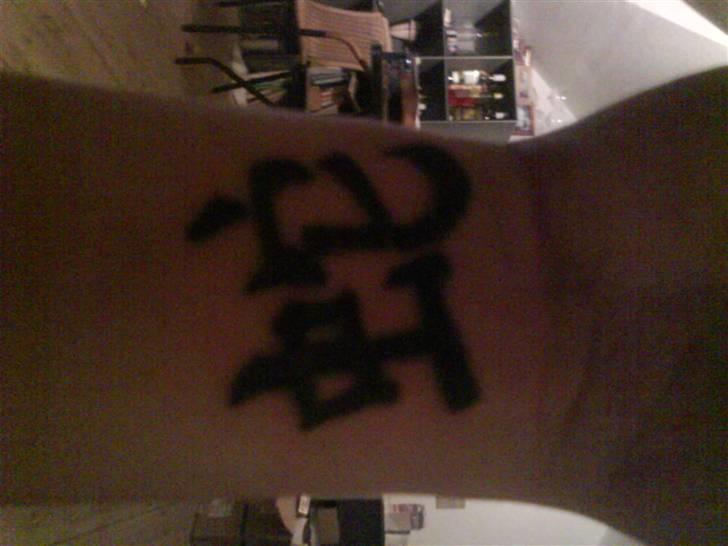 Kvinde Mig - slangens år billede 5