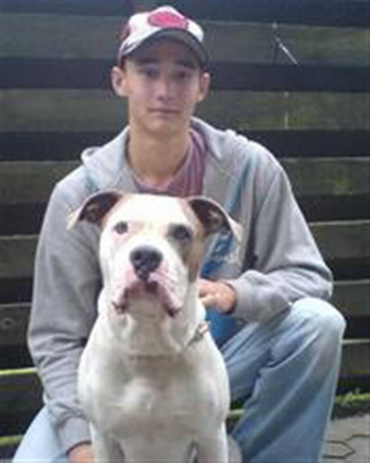 Mand dennis - min gammel hund R.I.P billede 2