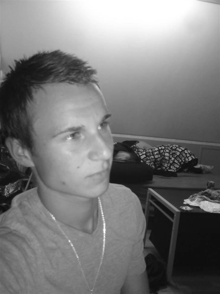 Mand Martin billede 1