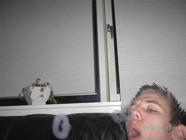 Mand Nicholas billede 10