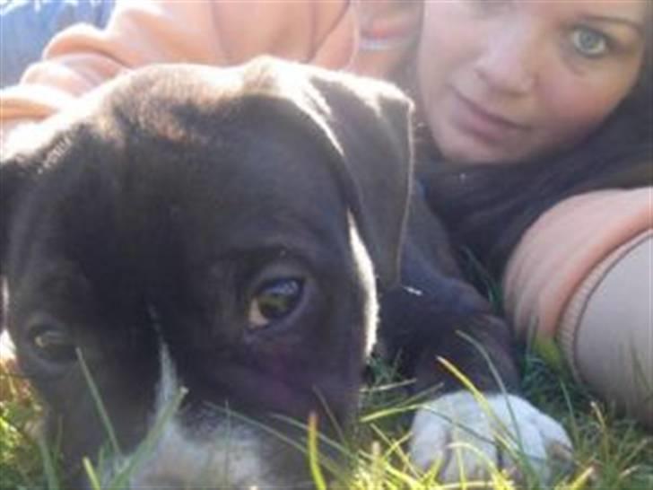 Kvinde Mig og lidt dertil - Mig Og hundemanden....han er lige hentet her... billede 4