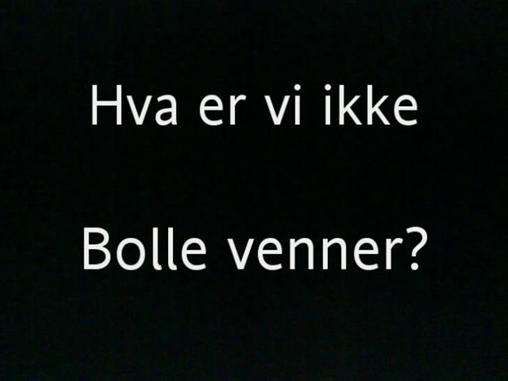 Mand Stefan billede 6