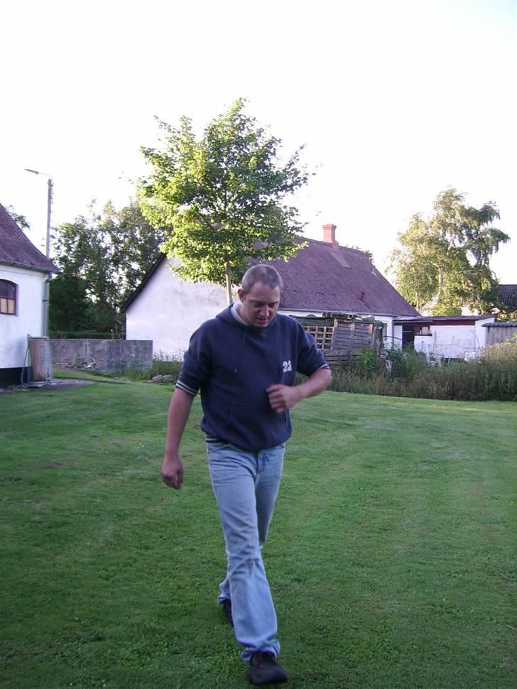 Mand kenni bugge - ferie på samsø  billede 2