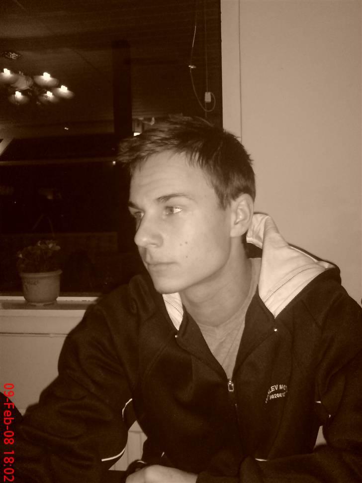 Mand Martin billede 2