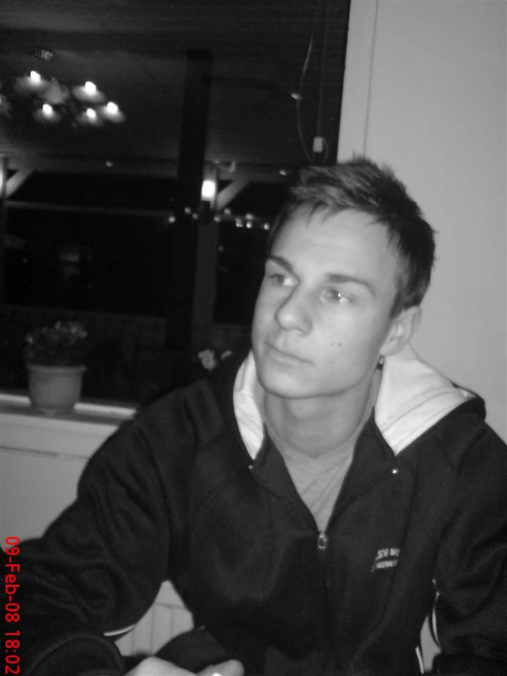 Mand Martin billede 3