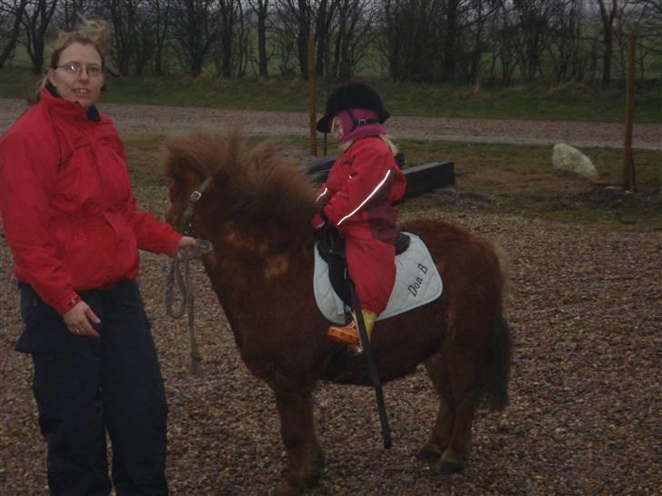 Kvinde Ann - jeg er lige ude og trække min søde "pap"datter rundt på hendes pony billede 4