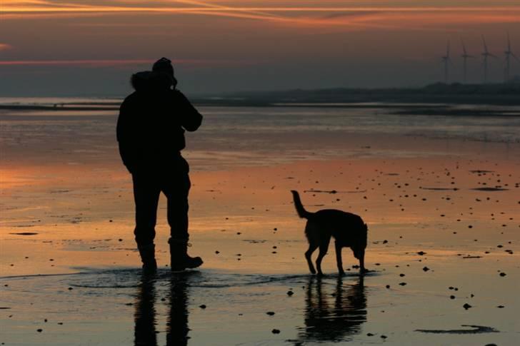 Mand Kim Madsen - en tidlig morgen i nordjylland billede 2