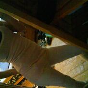 Kvinde Cecilie K 