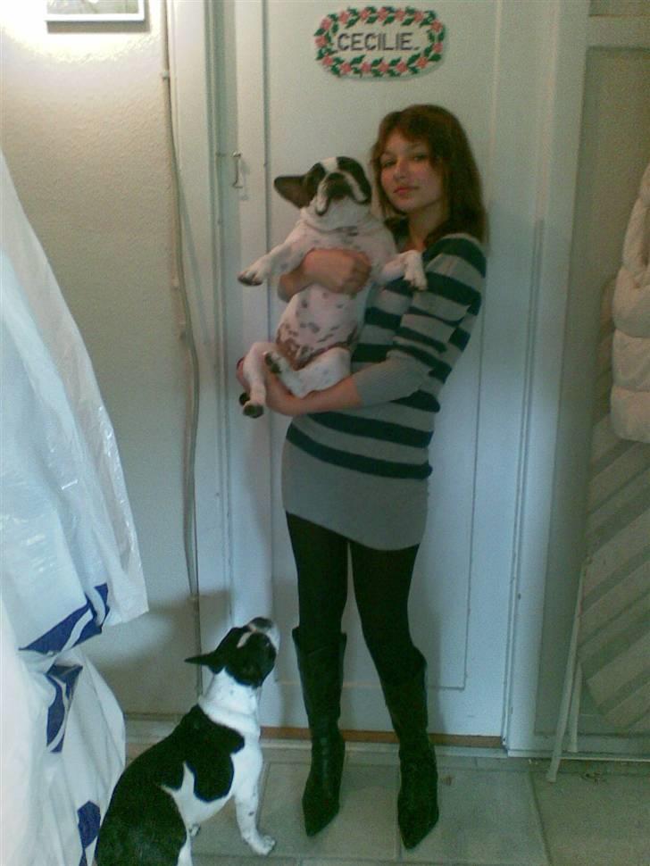 Kvinde Cecilie K  billede 5