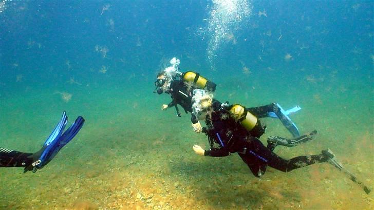 Kvinde Trine - Mig og kæresten ude og dykke på Gran Canaria billede 3