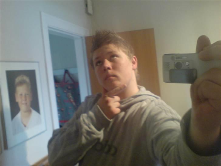 Mand beaver billede 2