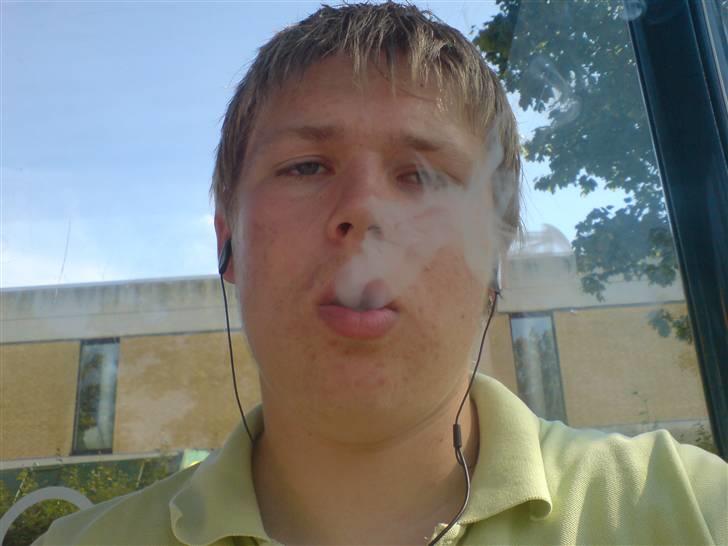 Mand beaver billede 4