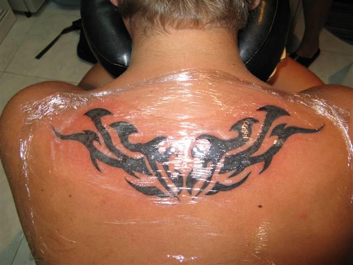 Mand Martin B billede 4