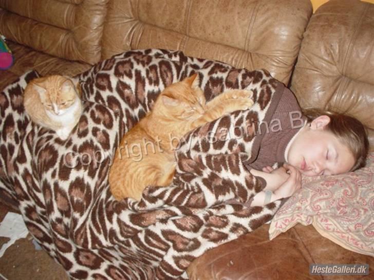 Kvinde Sabrina - Jep, jeg er elsket af min dyr - selv når jeg sover :D billede 7