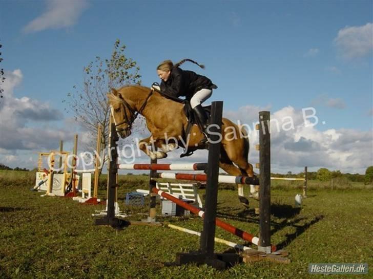 Kvinde Sabrina - Et spring billede med en af mine gamle ponyer - Simba billede 9