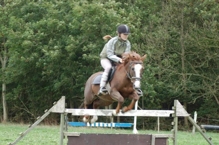 Kvinde Sabrina - Et spring billede med en af mine gamle ponyer - Tøsen billede 11