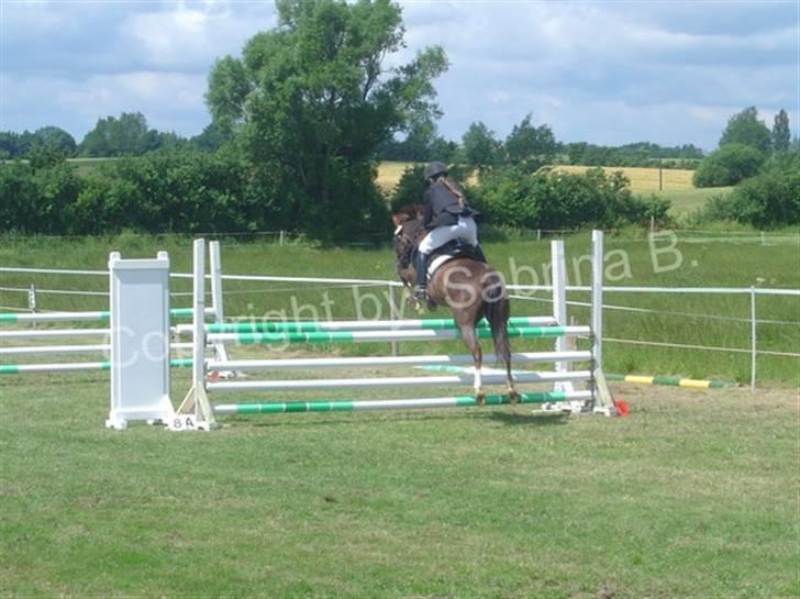 Kvinde Sabrina - Et spring billede med en af mine gamle ponyer - Tøsen billede 12