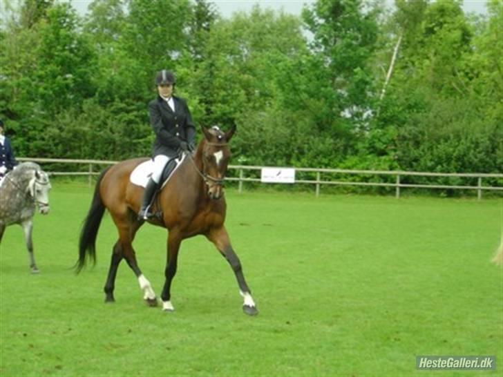 Kvinde Sabrina - Blev nr. 3 på Luna i både LC1 og LC2 til et dressur stævne i 2007 (dette er fra opvarmningen) billede 14