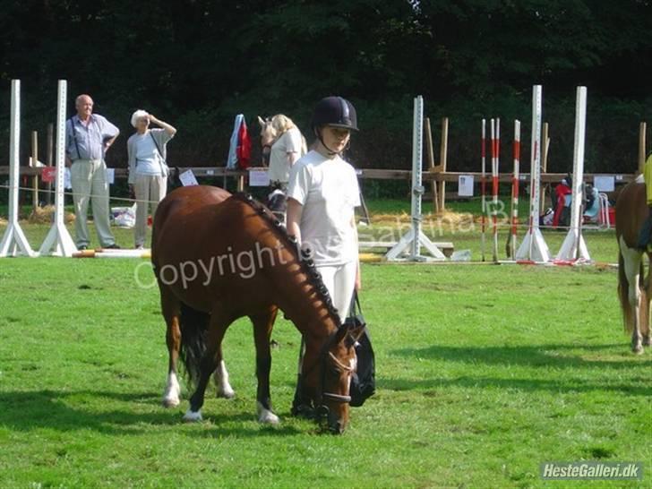 Kvinde Sabrina - 4H dyreskue. Jeg vandt 2 år i træk, med Sahra billede 15
