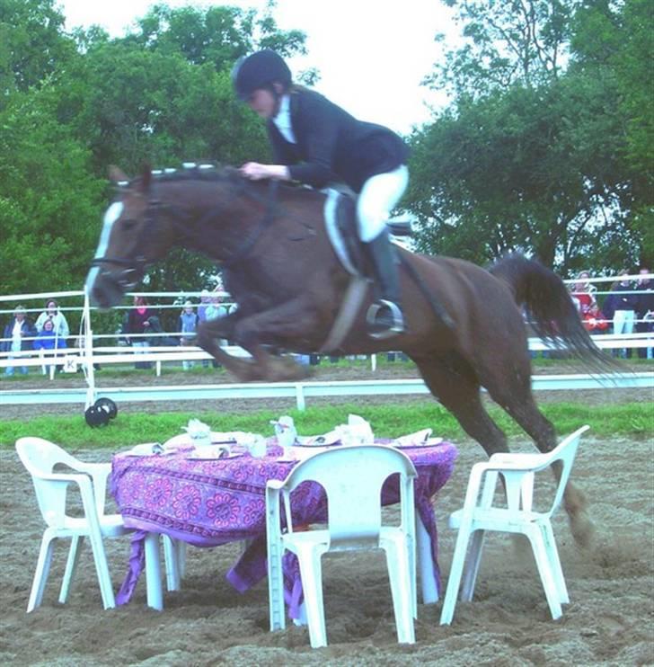 Kvinde Sabrina - Bumle og jeg til et åbenthus arragegement i 2006 billede 16