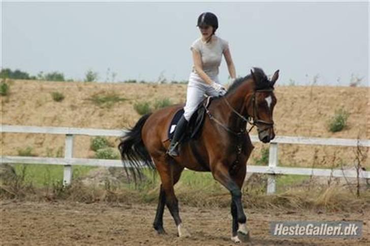 Kvinde Sabrina - Luna og jeg til et spring stævne - her er vi ved at varme op billede 17