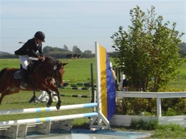 Kvinde Sabrina - Her rider jeg Bally til et landsstævne - vandgrav billede 18