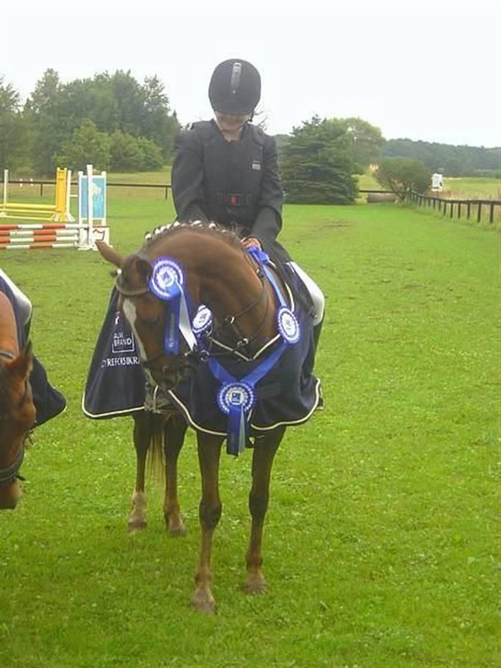 Kvinde Sabrina - Jeg var med på det hold (4 ryttere ialt), som vandt sjællandsmesterskabet 2005 billede 20