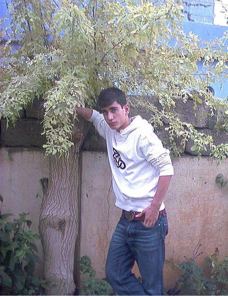 Mand Harry. billede 3