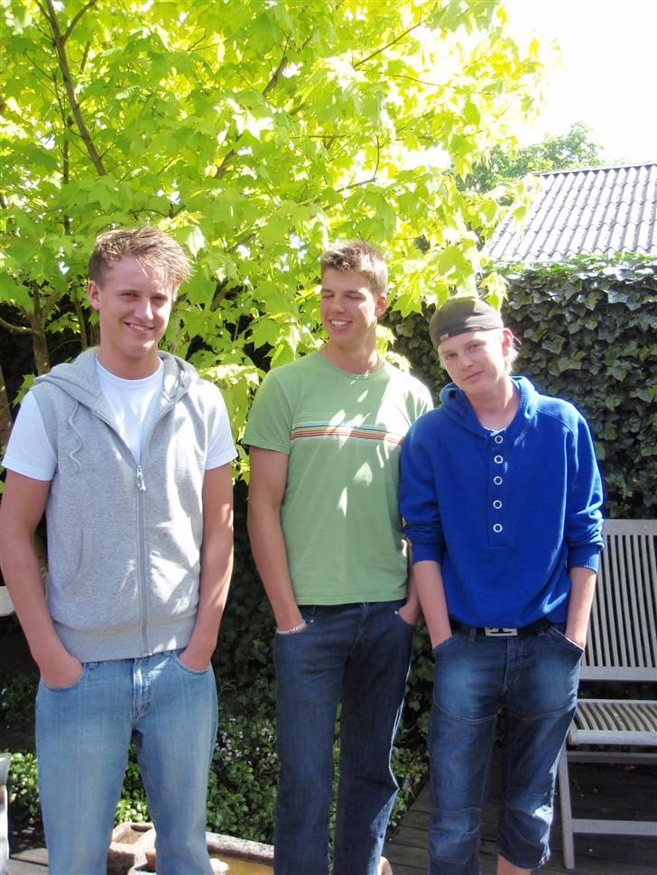 Mand Martin Wp billede 1