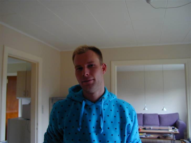 Mand skovmusen billede 1