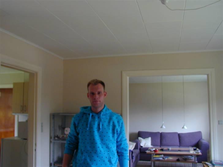 Mand skovmusen - dårlig hår dag  billede 2