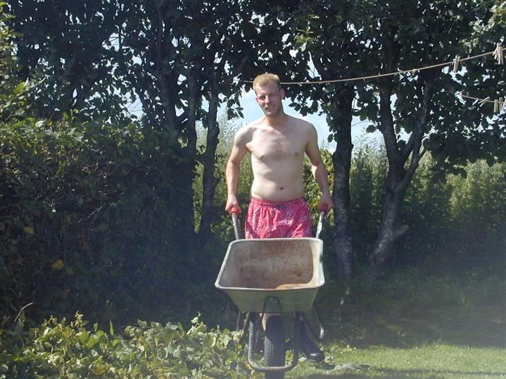 Mand skovmusen - føj man laver noget ... (i 28 graders varme ) føj hvor kan da svede  billede 3