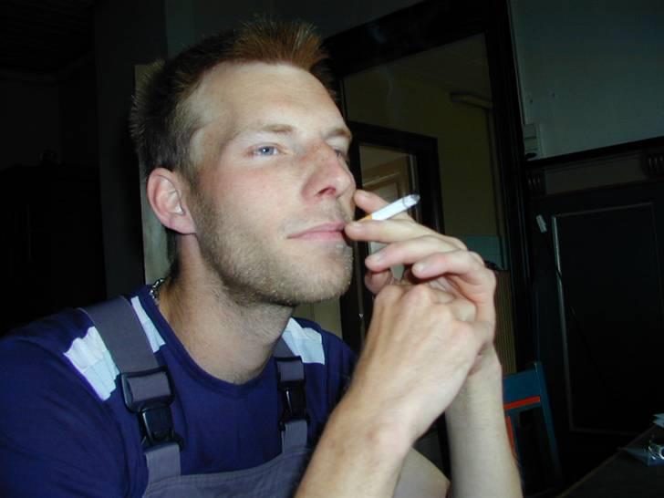 Mand skovmusen - mere dårlig hår  billede 4