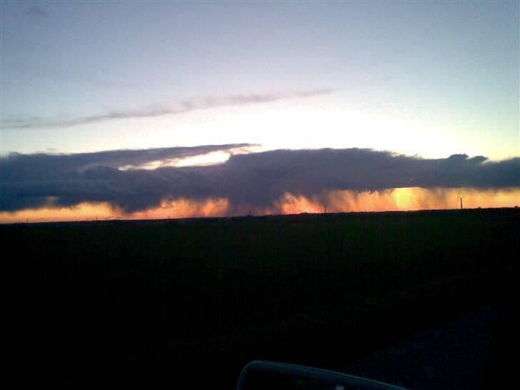 Mand skovmusen - taget en sen aften ..  billede 6