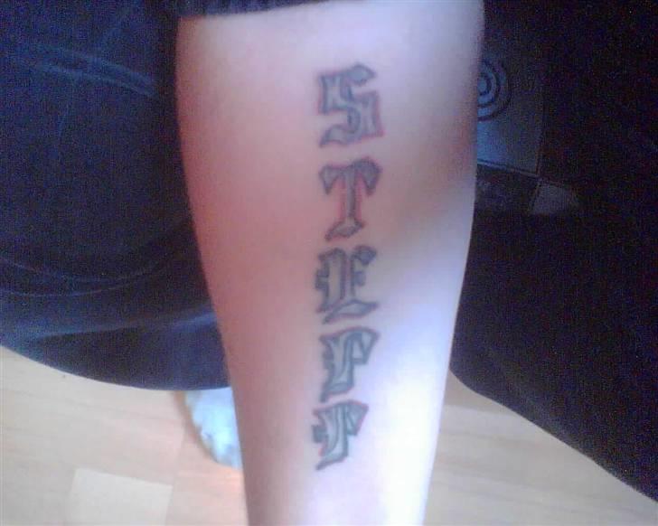 Mand Steffan billede 2