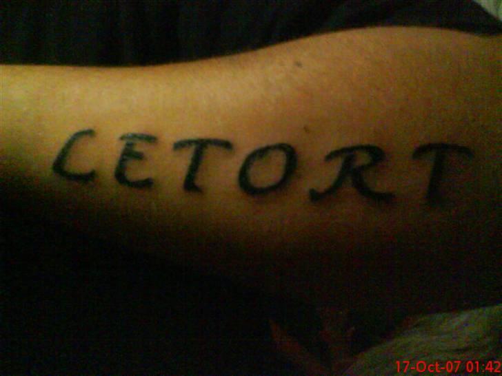 Mand Steffan billede 3