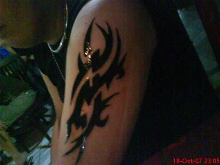 Mand Steffan billede 4